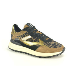 Floris van Bommel Sneaker Floris van Bommel