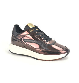 Floris van Bommel Sneaker Floris van Bommel