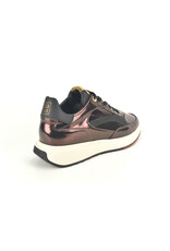 Floris van Bommel 15314 brons