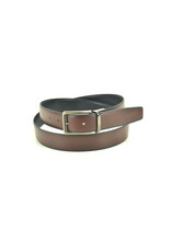 Miguel Bellido 16005 bruin