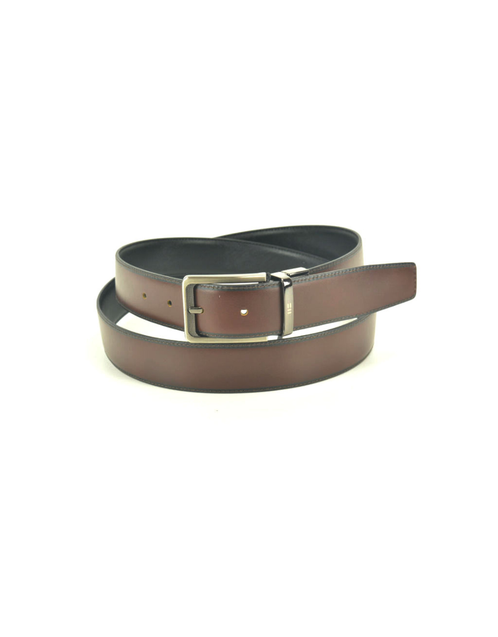 Miguel Bellido 16005 bruin