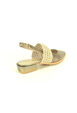 Hispanitas 15794 brons