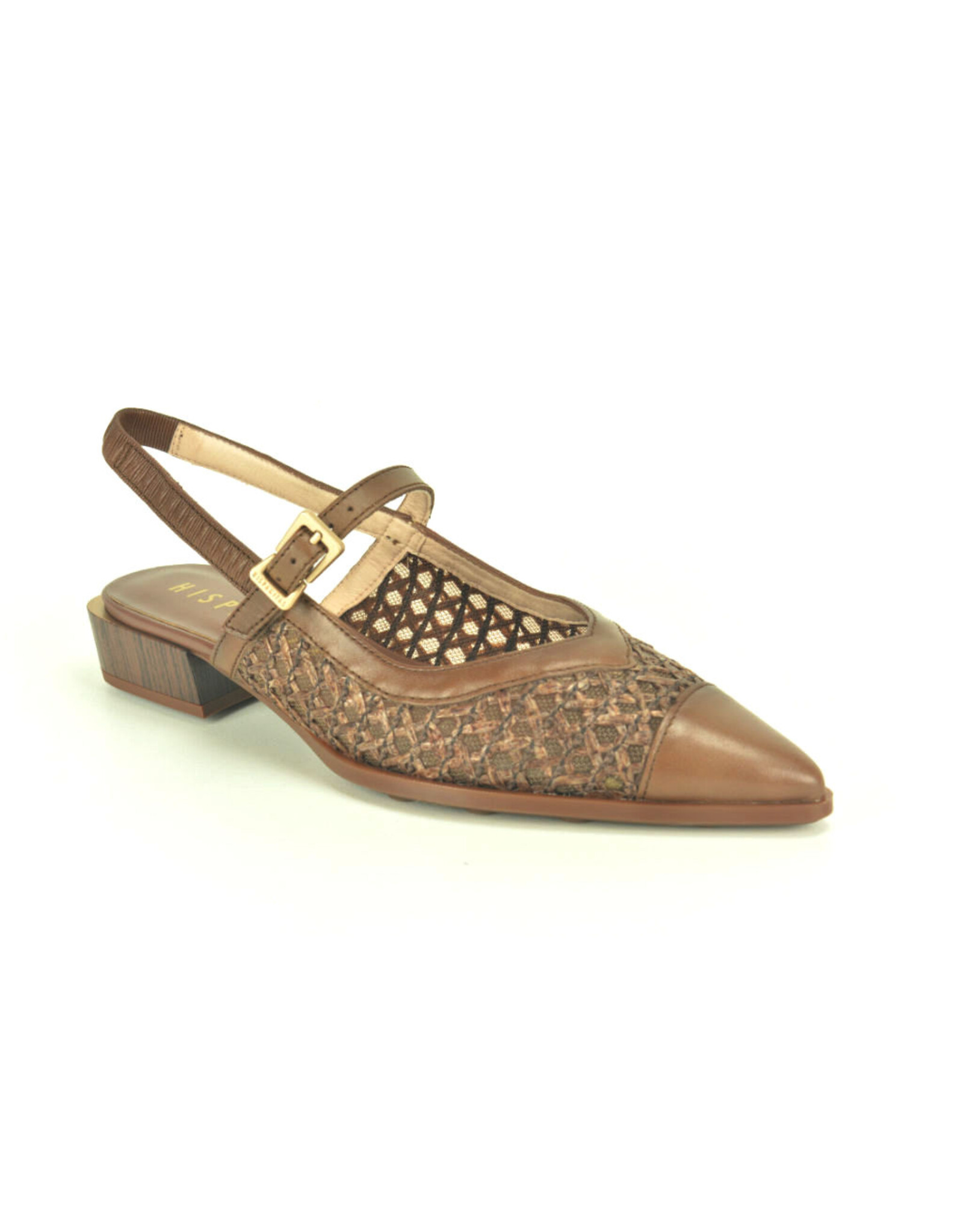 Hispanitas 15795 bruin