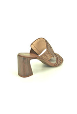 Hispanitas 15798 bruin