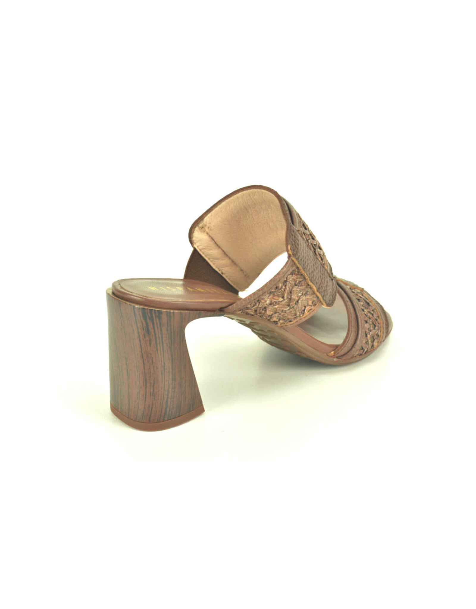 Hispanitas 15798 bruin