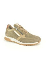 Fluchos 15655 taupe