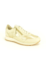 DL-Sport 15922 beige