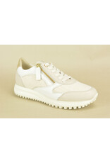 DL-Sport 15923 beige