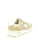 Floris van Bommel 15843 beige