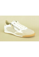 DL-Sport 15926 beige