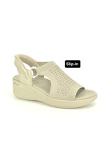 Skechers 15505 taupe