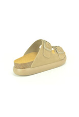 Scholl 15817 beige