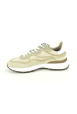 Floris van Bommel 15823 beige