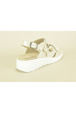 Hickersberger 14443 beige