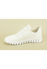 Waldläufer 14453 wit