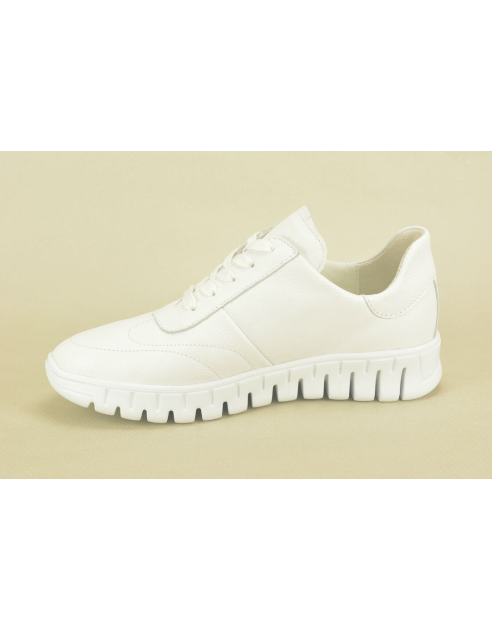 Waldläufer 14453 wit