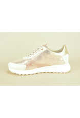 DL-Sport 14793 beige