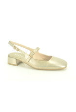 Hispanitas 14709 goud