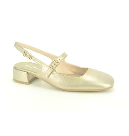 Hispanitas Pump Hispanitas