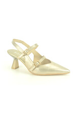 Hispanitas 14714 goud