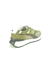 Australian 14498 taupe