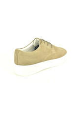 Cycleur De Luxe 15635 taupe