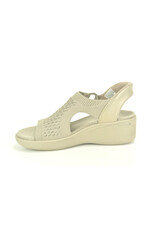 Skechers 15505 taupe