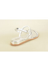 Hookipa 14653 zilver