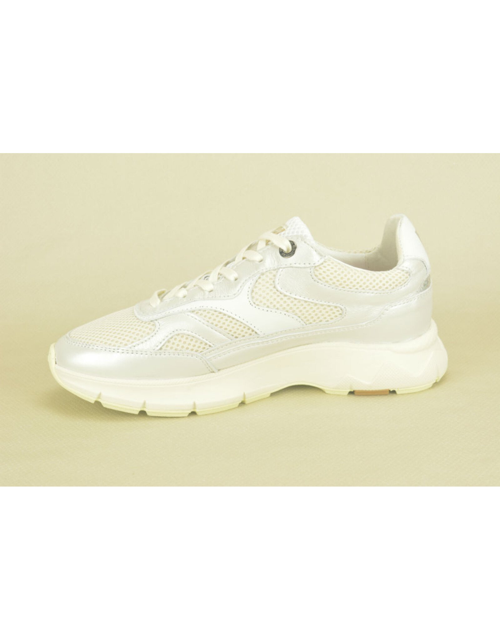 Floris van Bommel 14675 zilver