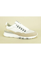 Floris van Bommel 14688 wit