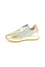 Hispanitas 14693 goud