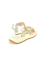 Hispanitas 14694 goud