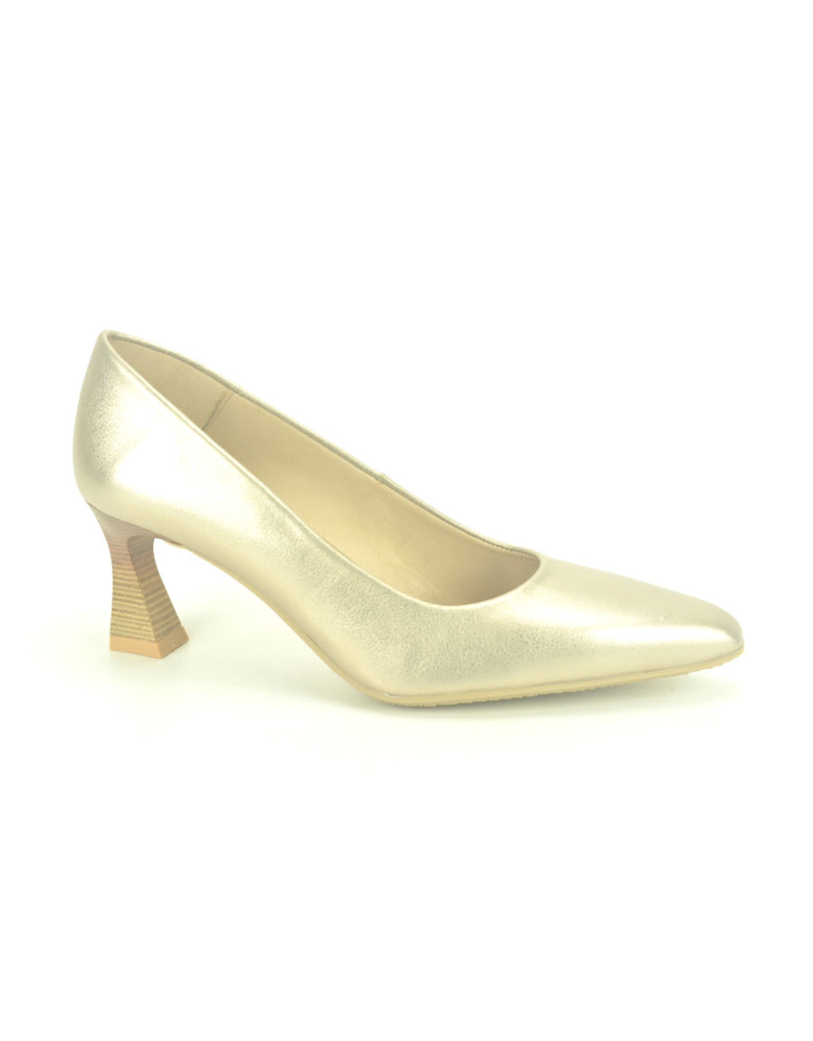 Hispanitas 14964 goud