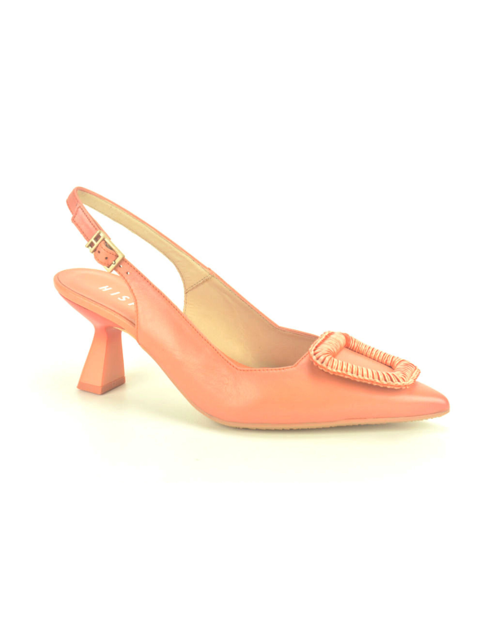 Hispanitas 14703 kleur