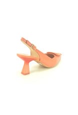 Hispanitas 14703 kleur