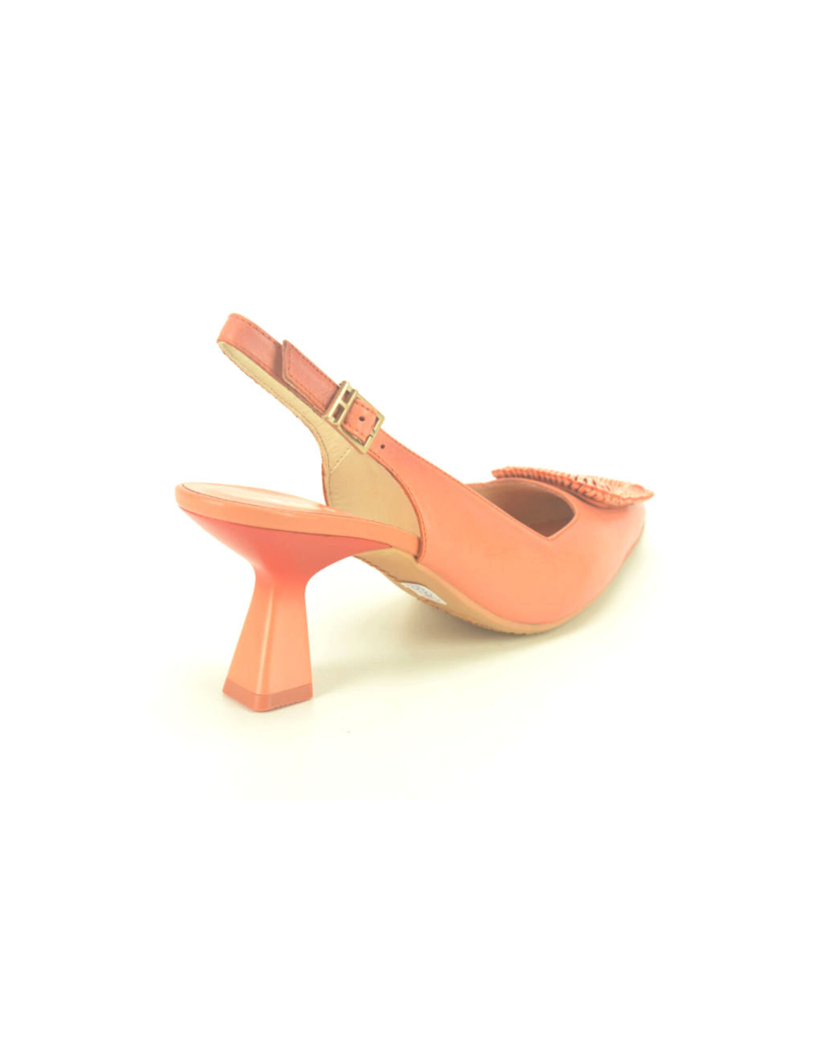 Hispanitas 14703 kleur