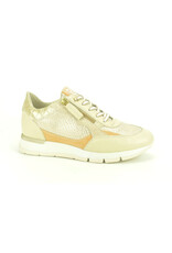DL-Sport 14795 beige