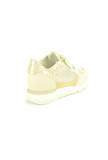 DL-Sport 14795 beige