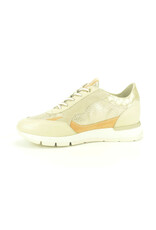 DL-Sport 14795 beige