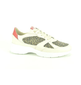 DL-Sport Sneaker DL-Sport
