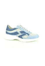 DL-Sport 14797 blauw