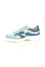 DL-Sport 14797 blauw