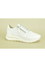 DL-Sport 14801 wit
