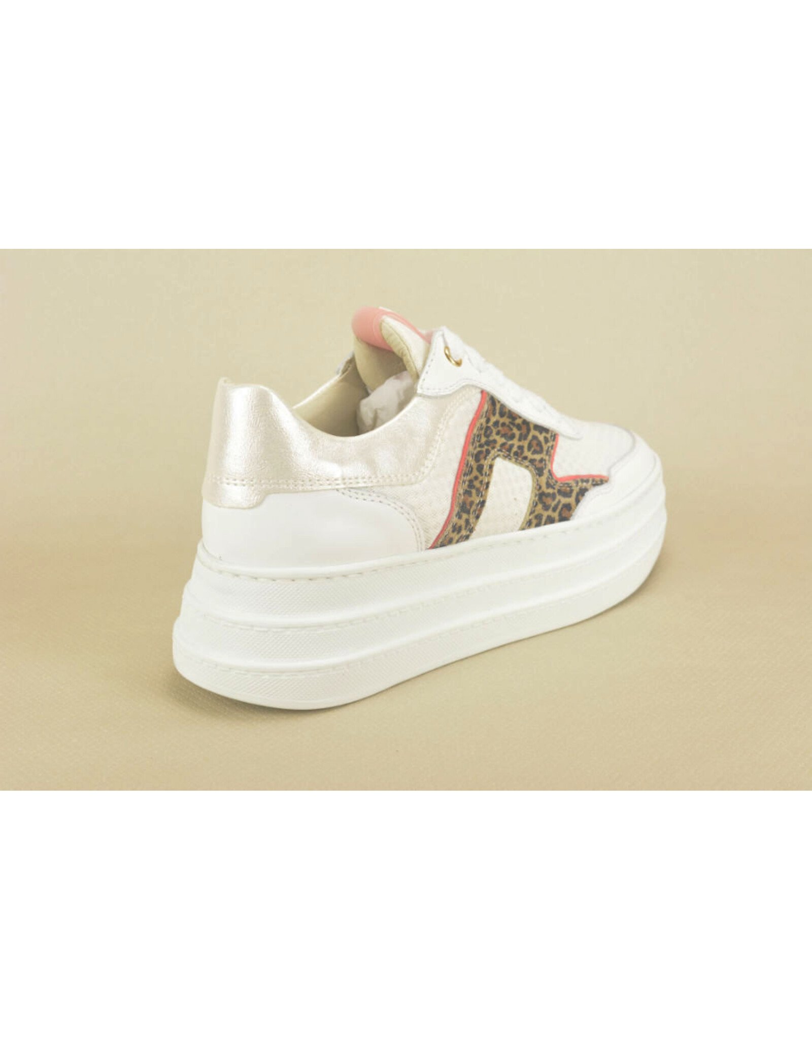 DL-Sport 14805 beige