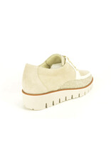 DL-Sport 15927 beige