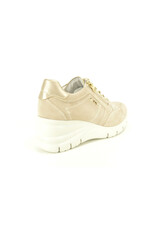 Nero Giardini 15771 beige