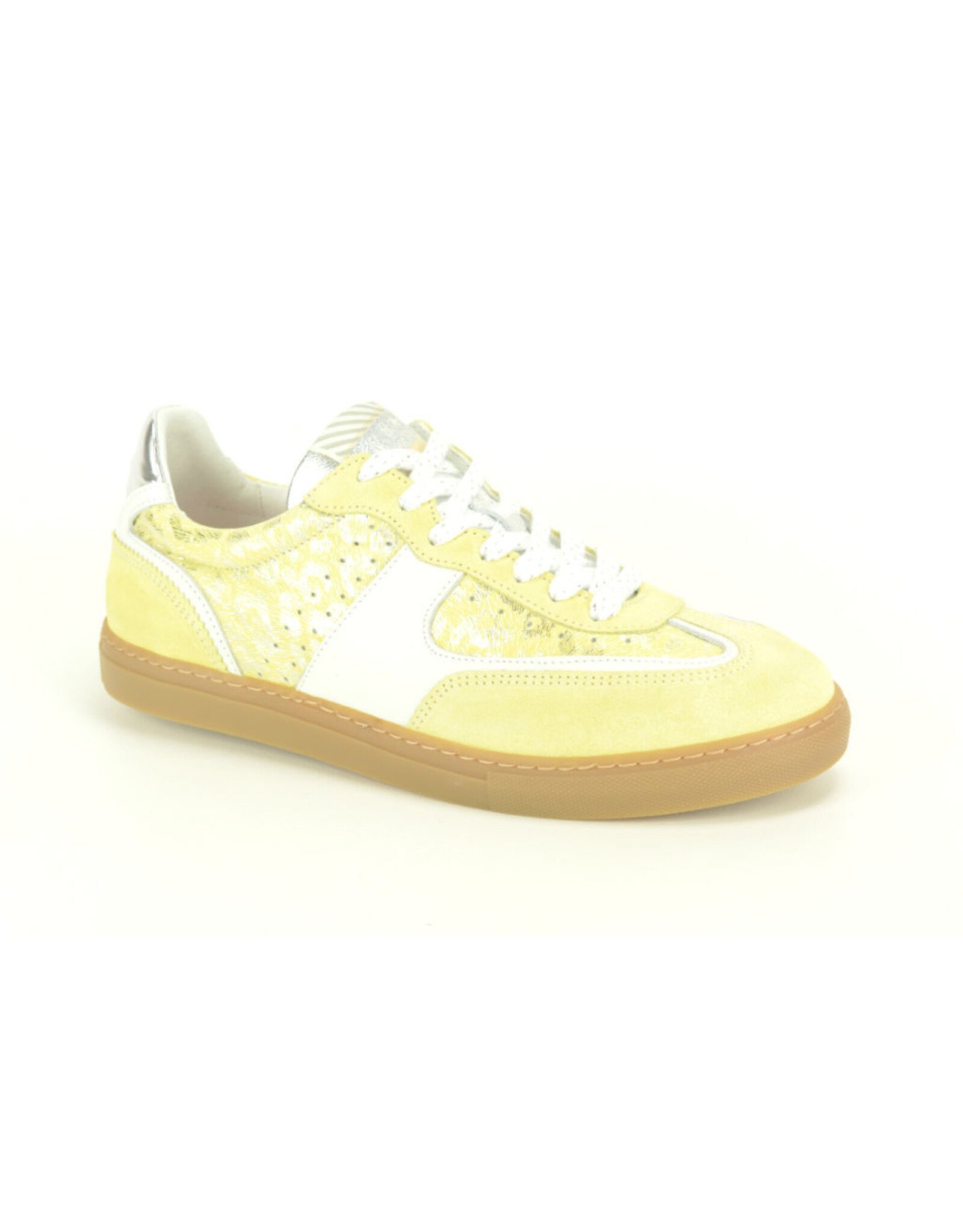 Floris van Bommel 15847 kleur