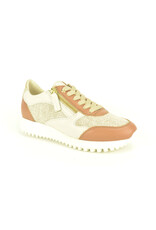 DL-Sport 15924 camel