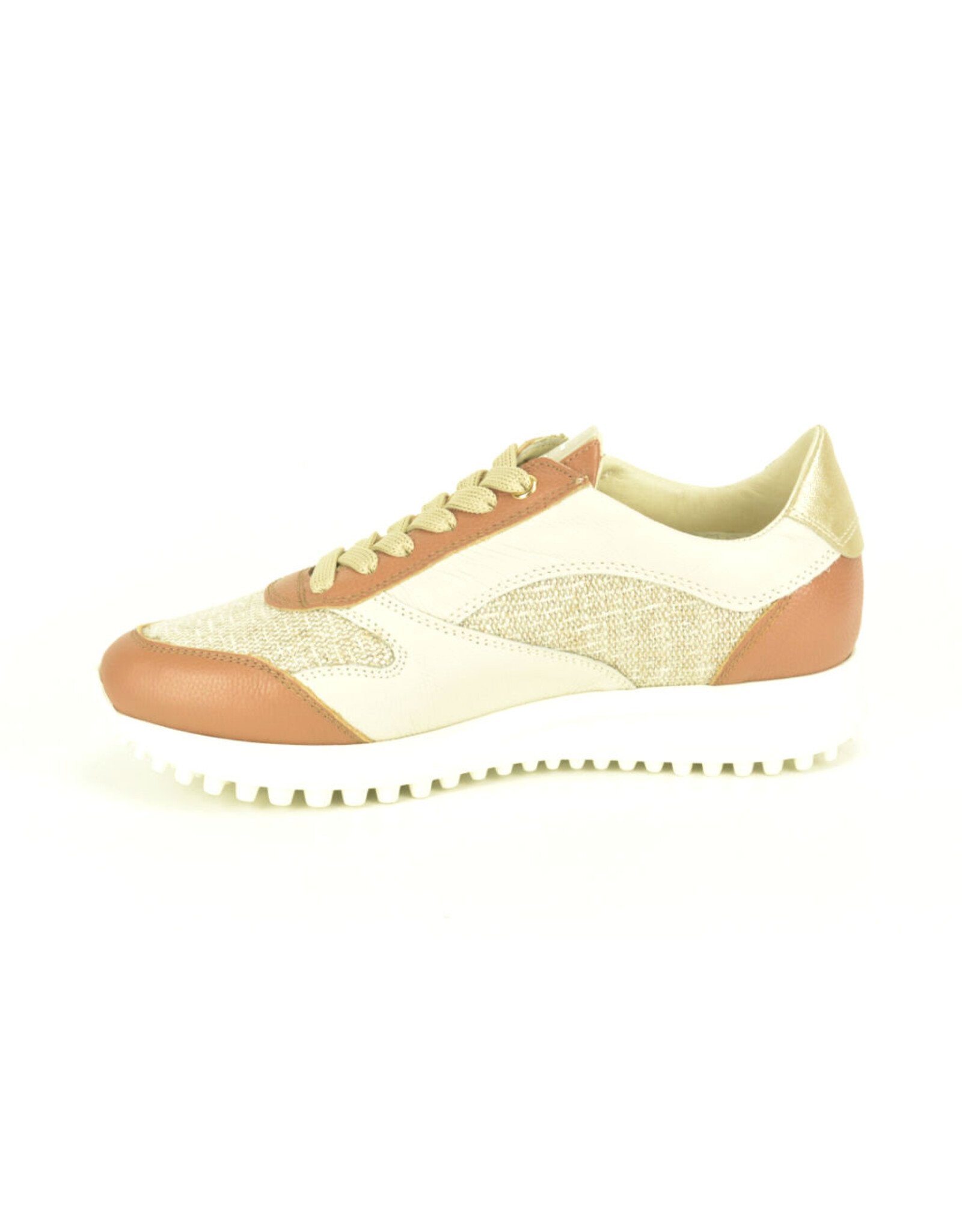 DL-Sport 15924 camel