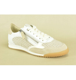 DL-Sport Sneaker DL-Sport